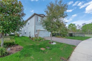 3409 MONROE MEADOWS DRIVE, ODESSA, FL 33556 Sold 06/06/25