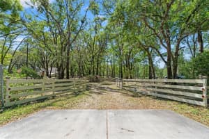 26290 HAYMAN ROAD, BROOKSVILLE, FL 34602 - MLS#MFRTB8362397
