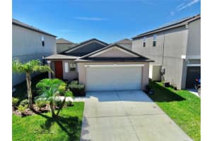 10205 Cool Waterlily Ave, RIVERVIEW