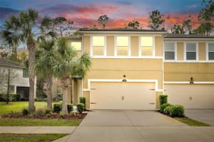 17850 ALTHEA BLUE PLACE, LUTZ, FL 33558 Sold 05/02/25