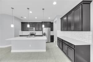 17850 ALTHEA BLUE PLACE, LUTZ, FL 33558 Sold 05/02/25