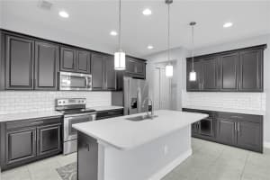 17850 ALTHEA BLUE PLACE, LUTZ, FL 33558 Sold 05/02/25