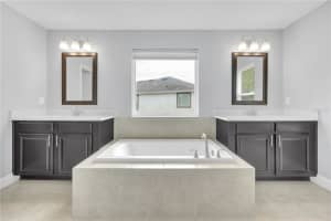 17850 ALTHEA BLUE PLACE, LUTZ, FL 33558 Sold 05/02/25
