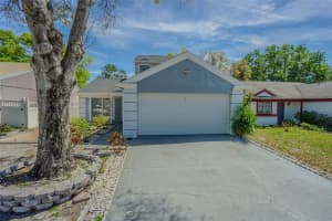 8335 PADDLEWHEEL STREET, TAMPA, FL 33637 Sold 04/28/25
