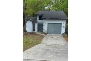 10216 N Pawnee Ave, TAMPA
