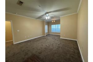 18575 BRIDLE CLUB DRIVE, TAMPA, FL 33647 - MLS#MFRTB8362624