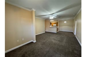 18575 BRIDLE CLUB DRIVE, TAMPA, FL 33647 - MLS#MFRTB8362624