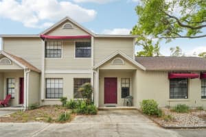8419 Laurelon Pl, TEMPLE TERRACE