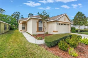 3215 Banyan Hill Ln, LAND O LAKES