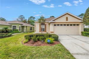 3215 BANYAN HILL LANE, LAND O LAKES, FL 34639 - MLS#MFRTB8362661