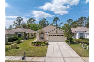 3215 BANYAN HILL LANE, LAND O LAKES, FL 34639 - MLS#MFRTB8362661