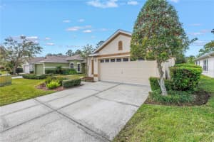 3215 BANYAN HILL LANE, LAND O LAKES, FL 34639 - MLS#MFRTB8362661
