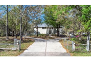 27026 GOLDEN MEADOW DRIVE, WESLEY CHAPEL, FL 33544 Sold 04/24/25