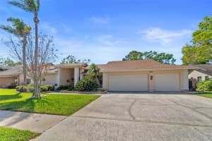 3442 BEECH TRAIL, CLEARWATER, FL 33761 Sold 07/28/25