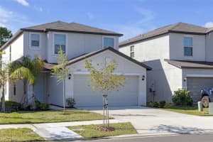7229 SPRING SNOWFLAKE AVENUE, TAMPA, FL 33619 Sold 07/01/25