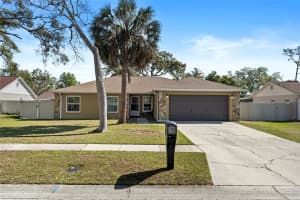 5383 BLACK PINE DRIVE, TAMPA, FL 33624 Sold 06/06/25