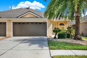 31833 Turkeyhill Dr, WESLEY CHAPEL