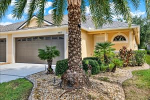 31833 TURKEYHILL, WESLEY CHAPEL, FL 33543 - MLS#MFRTB8362901