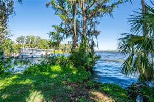 3346 GORSE COURT, PALM HARBOR, FL 34684 Sold 07/10/25