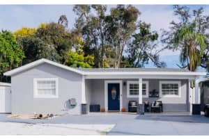 314 E Althea Ave, TAMPA
