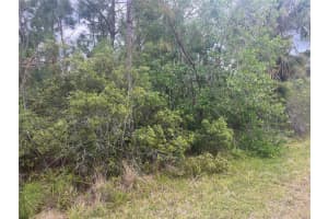 ALHAMBRA AVE, NORTH PORT, FL 34291 Sold 07/24/25