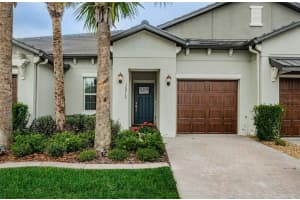 16715 SHELL BAY DRIVE, LAND O LAKES, FL 34638 Sold 06/12/25
