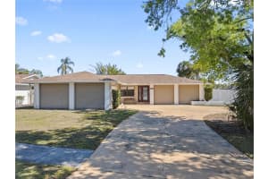 4219 Summerdale Dr, TAMPA