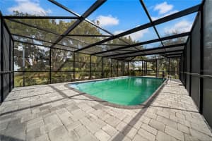 20 2ND AVENUE, LUTZ, FL 33549 - MLS#MFRTB8363017