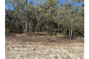 15061 HUMMINGBIRD ROAD, WEEKI WACHEE, FL 34614 Sold 09/15/25
