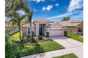 20352 FALLING ROCK DRIVE, LAND O LAKES, FL 34638 Sold 06/10/25
