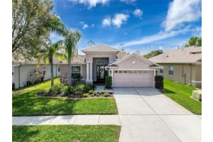 20352 FALLING ROCK DRIVE, LAND O LAKES, FL 34638 Sold 06/10/25