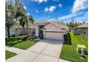 20352 FALLING ROCK DRIVE, LAND O LAKES, FL 34638 Sold 06/10/25