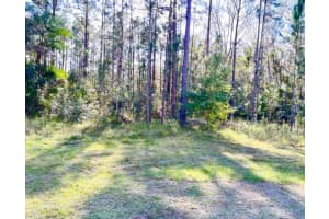 1011 INDIAN LAKE DRIVE, INDIAN LAKE ESTATES, FL 33855 - MLS#MFRTB8363160