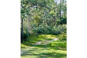 1011 INDIAN LAKE DRIVE, INDIAN LAKE ESTATES, FL 33855 - MLS#MFRTB8363160