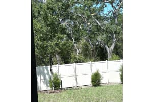 4649 PLEASANT AVENUE, PALM HARBOR, FL 34683 - MLS#MFRTB8363161