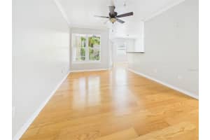 1810 PALM AVENUE, TAMPA, FL 33605 - MLS#MFRTB8363179
