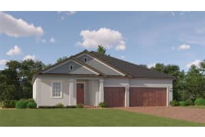16948 FALLING WATERS COURT, LAND O LAKES, FL 34638 Sold 04/25/25