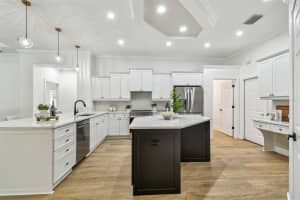 6314 SORATRACE STREET, LITHIA, FL 33547 Sold 06/18/25