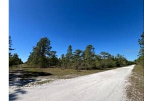 623 GRANADA DRIVE, INDIAN LAKE ESTATES, FL 33855 - MLS#MFRTB8363244