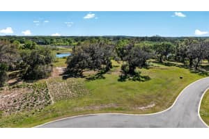 470 LONG AND WINDING ROAD, GROVELAND, FL 34737 Sold 06/16/25