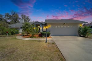 2910 Pine Club Dr, PLANT CITY
