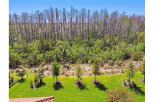 29488 GINNETTO DRIVE, WESLEY CHAPEL, FL 33543 - MLS#MFRTB8363436