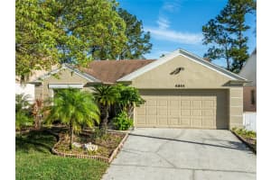 4944 CYPRESS TRACE DRIVE, TAMPA, FL 33624 Sold 04/17/25