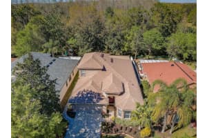 15925 Pond Rush Ct, LAND O LAKES