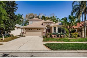 15925 POND RUSH COURT, LAND O LAKES, FL 34638 - MLS#MFRTB8363684