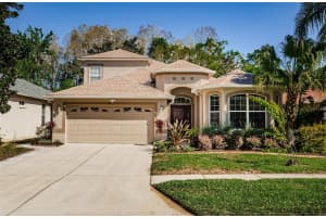 15925 POND RUSH COURT, LAND O LAKES, FL 34638 - MLS#MFRTB8363684