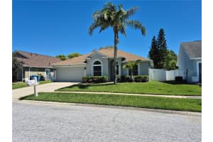 29123 CROSSLAND DRIVE, WESLEY CHAPEL, FL 33543 Sold 06/11/25
