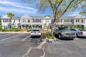 297 COUNTRYSIDE KEY BOULEVARD, OLDSMAR, FL 34677 Sold 07/01/25