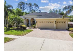 3040 OLIVIA COURT, LAND O LAKES, FL 34638 Sold 06/06/25