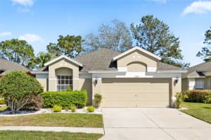 5105 Gato Del Sol Cir, WESLEY CHAPEL
